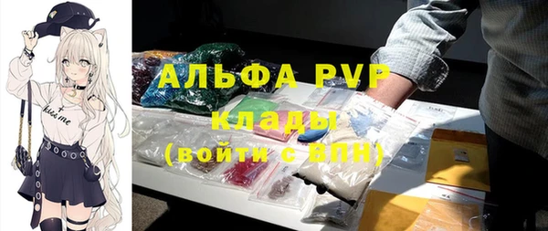 стаф Гусиноозёрск