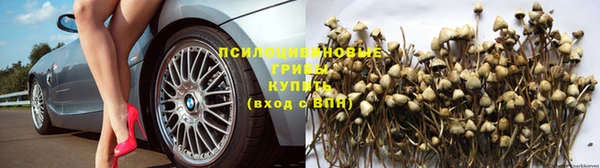 стаф Гусиноозёрск