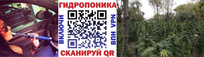 Купить  Новая Ляля  Марихуана марихуана 